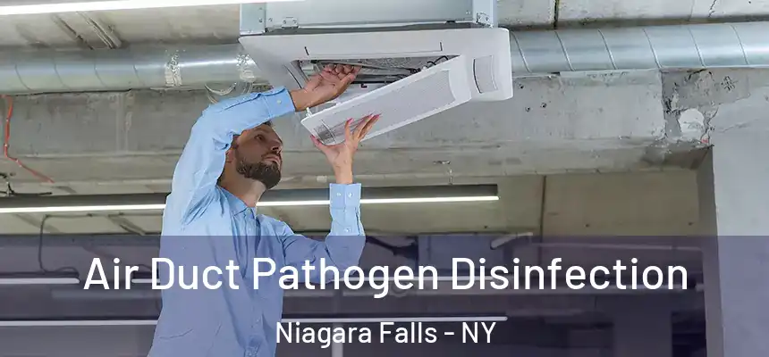  Air Duct Pathogen Disinfection Niagara Falls - NY