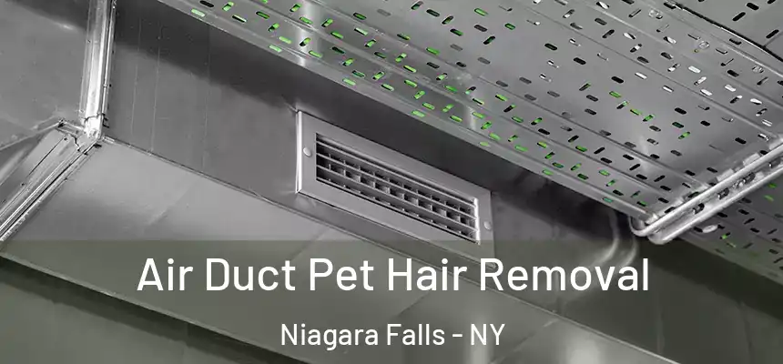  Air Duct Pet Hair Removal Niagara Falls - NY