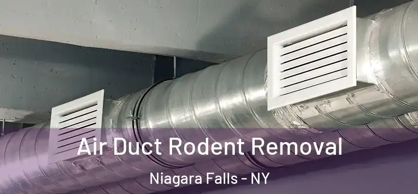  Air Duct Rodent Removal Niagara Falls - NY
