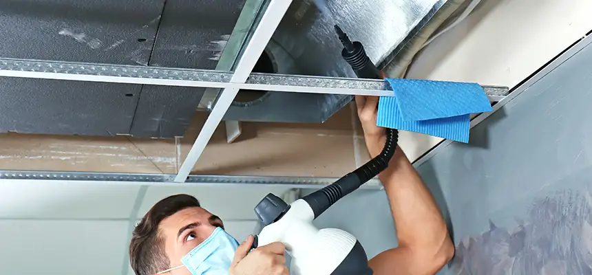 Our Air Duct Rodent Removal Services in Niagara Falls, NY