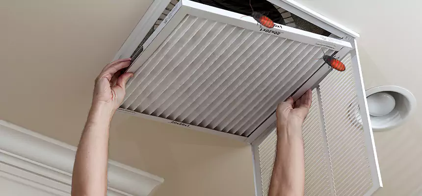 Our Insect Removal from Air Ducts Services in Niagara Falls, NY