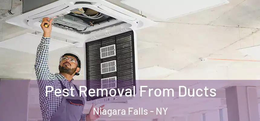  Pest Removal From Ducts Niagara Falls - NY