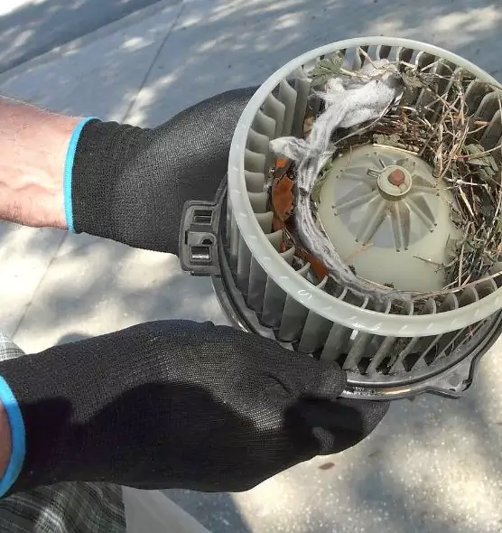 About Air Duct Mice Removal in Niagara Falls, NY