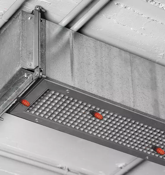 Affordable Insect Removal from Air Ducts in Niagara Falls, NY